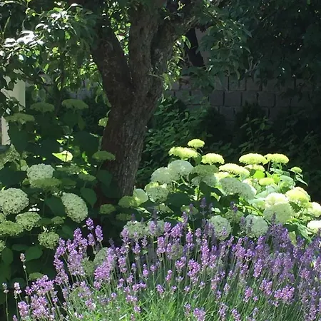 Сasa de vacaciones Gete Csolnok