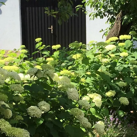 Gete Vendeghaz Σπίτι διακοπών *